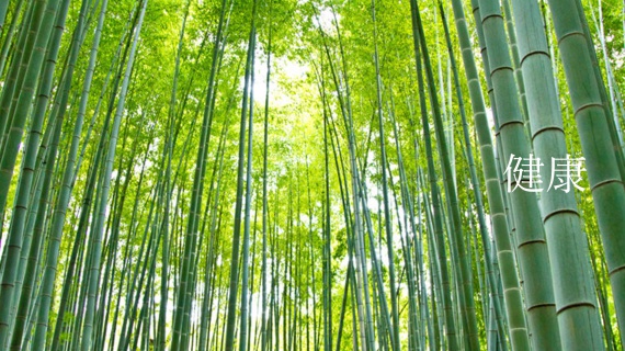 ほそ川建設が目指すもの
